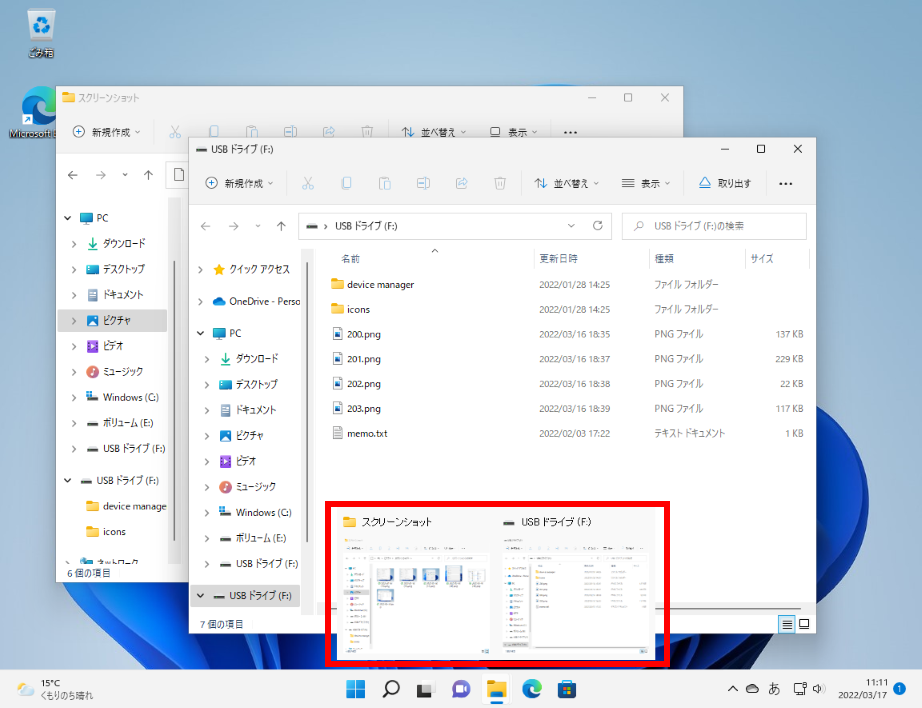 Windows 11 でサムネイルが表示される