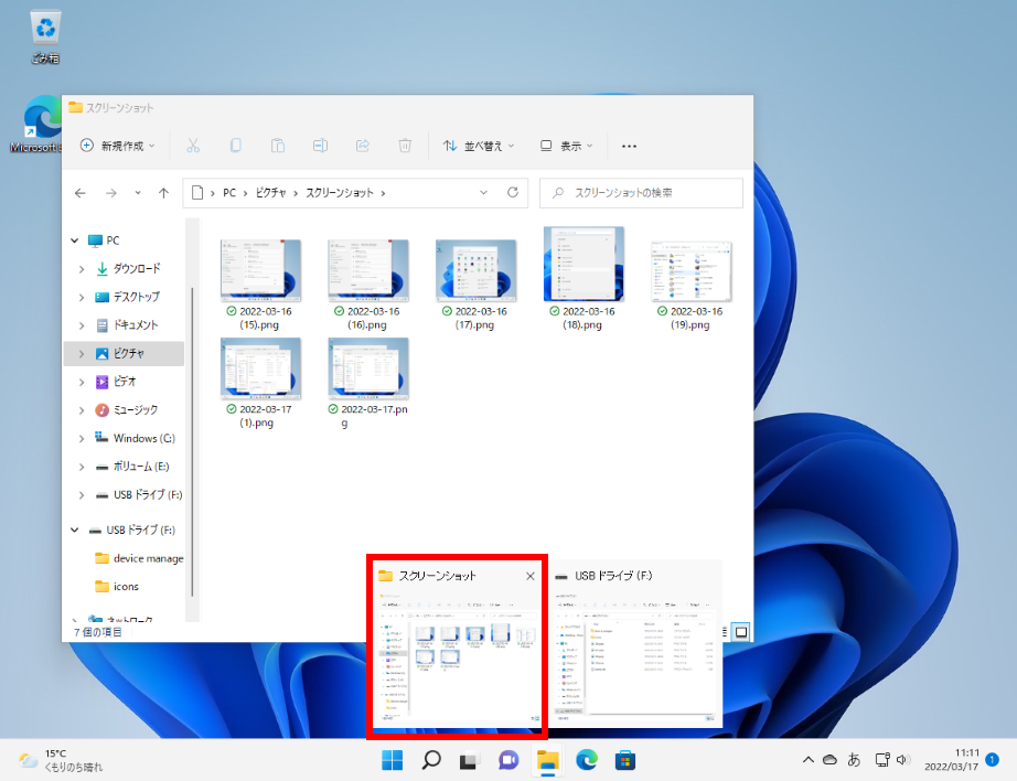 Windows 11 で目的のサムネイルを確認する