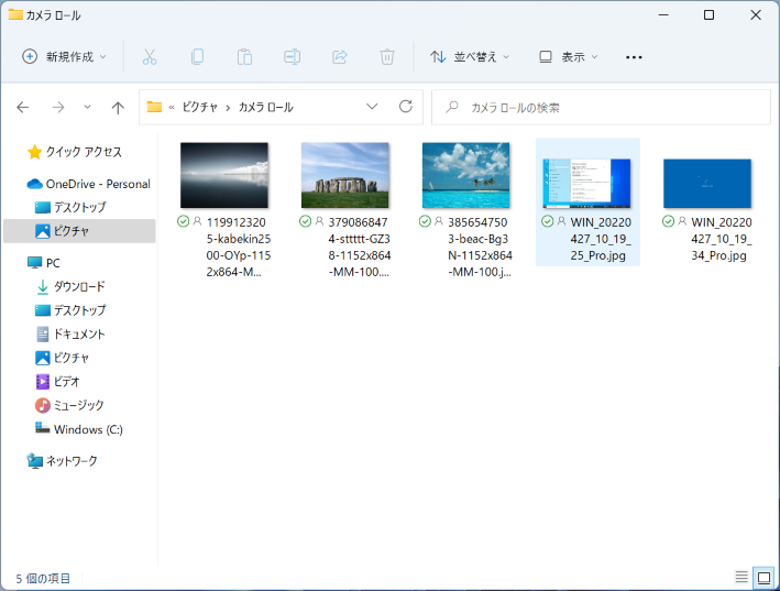 大アイコン表示